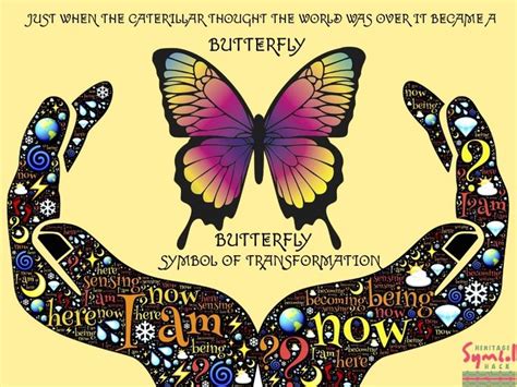 The Magic Butterfly Box: A Window into Parallel Universes
